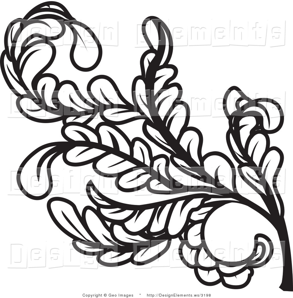 Design Element Clipart Of A Black And White Curly Branch Of Leaves And