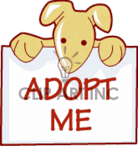 Dog Dogs Animals Canine Canines Puppy Puppies Adopt Me Adoption Pet