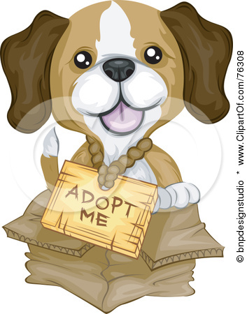 Fort Myers Beach Fl Pet Adoption
