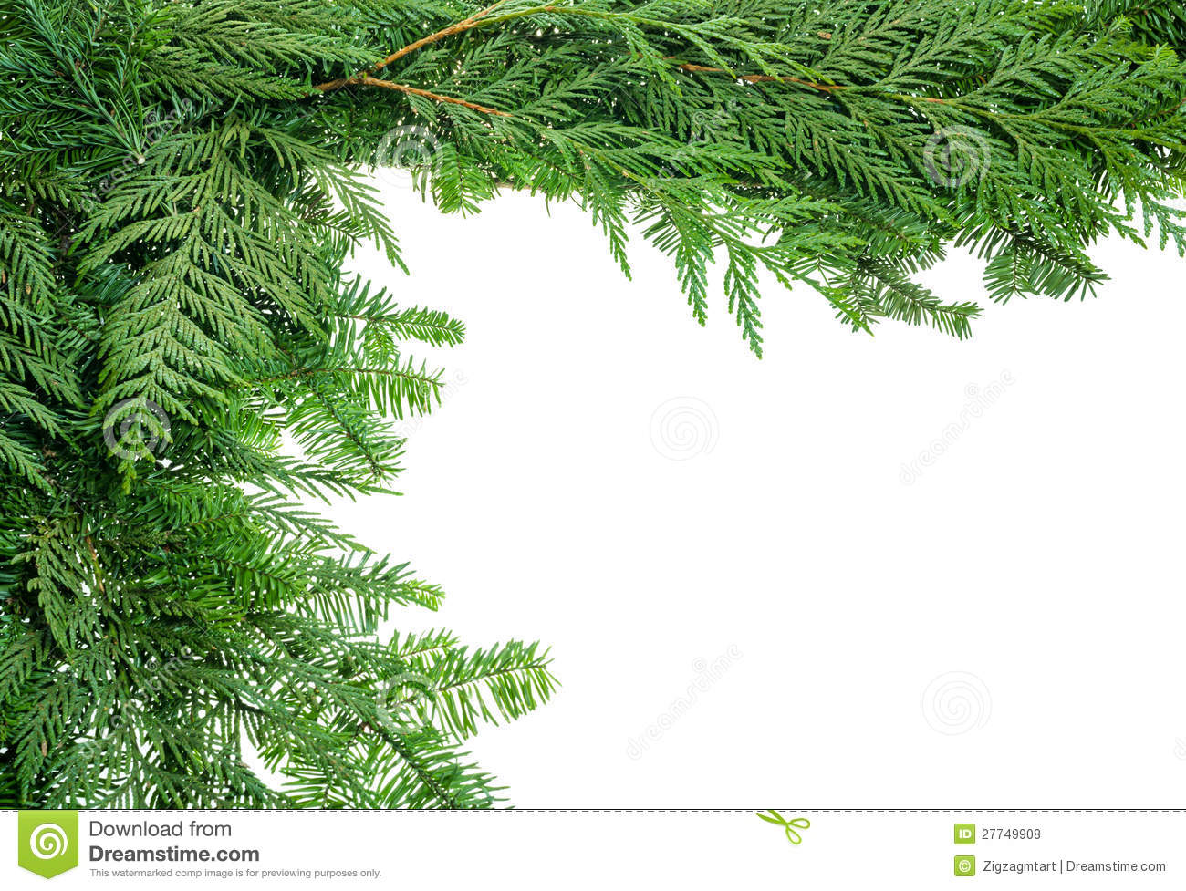 Border From Evergreen Boughs Royalty Free Stock Photos   Image