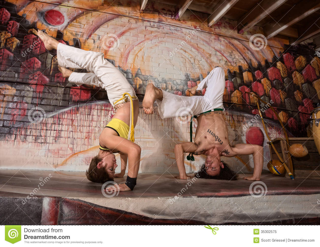 Mixed Capoeira Experts Royalty Free Stock Photo   Image  35302575