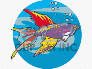Fish Animals Tropical Exotic Fish204 Gif Clip Art Animals Fish