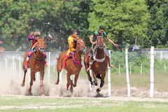 Horse Racing In Sumba Royalty Free Stock Photo