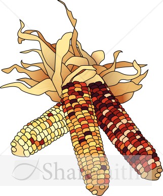 Dried Corn Colorful Clipart   Harvest Day Clipart