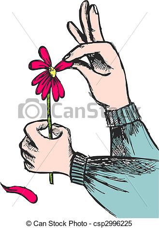 Hands Plucking Off The Petals Of A Red Flower On White Background