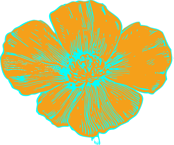 Orange And Blue Poppy Clip Art   Vector Clip Art Online Royalty Free    