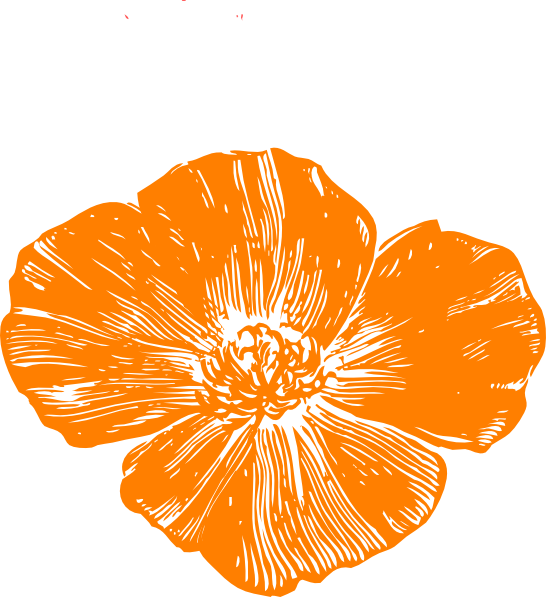 Orange Poppy Clip Art At Clker Com   Vector Clip Art Online Royalty    
