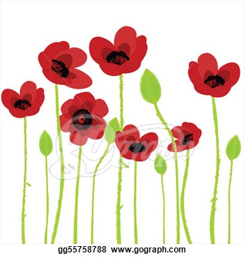 Poppies Clipart Poppy Over White Background
