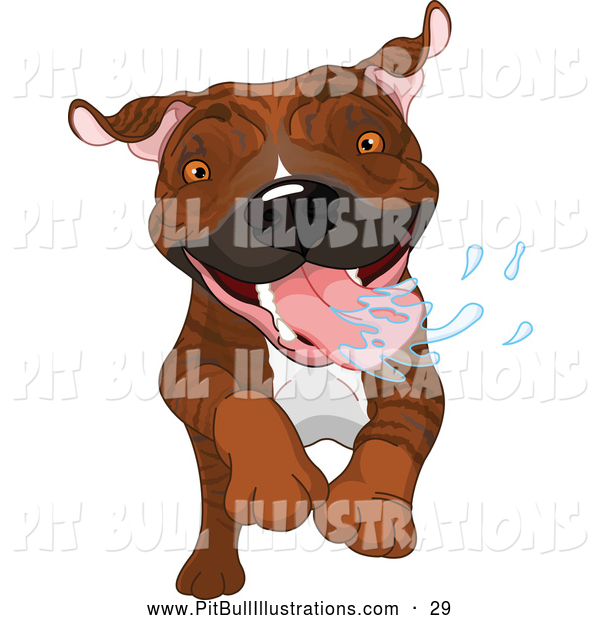 Related Pictures Pit Bulls Graphics And Ments Funny Bully Quotes