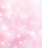 Soft Pink Background Royalty Free Stock Photography