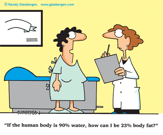 Body Composition Cartoon How Can I Be 23  Body Fat