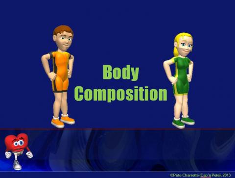 Body Composition Clipart Of Body Composition