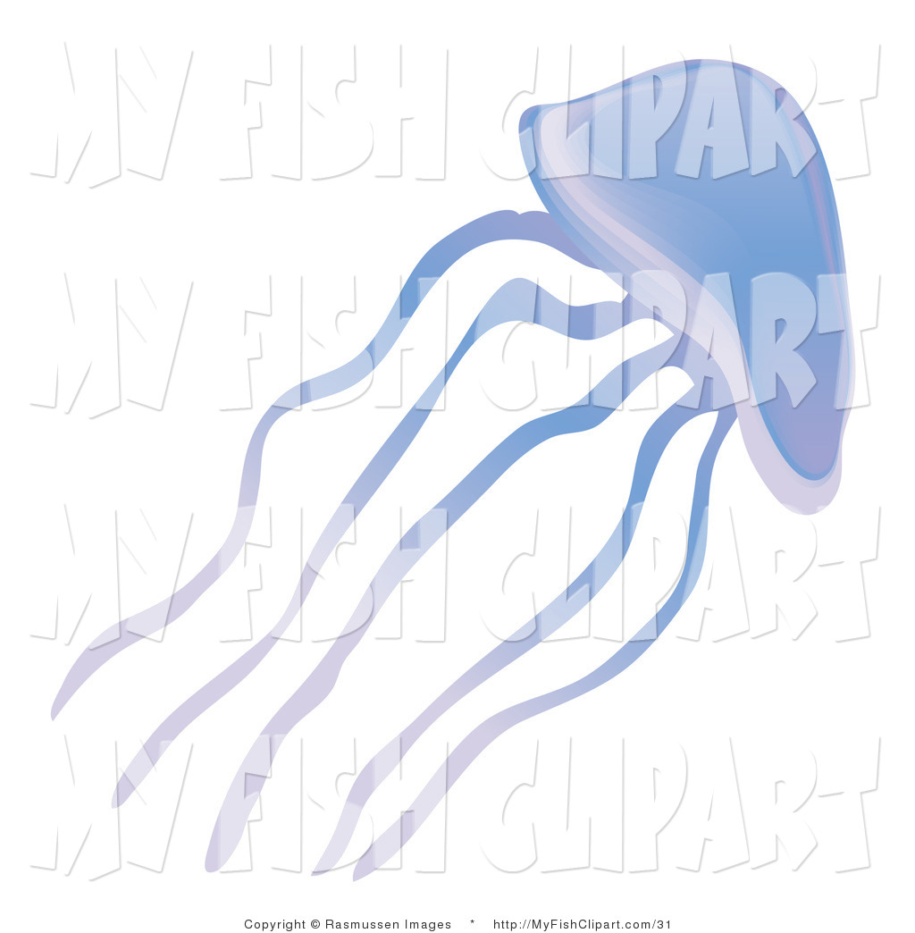 Clip Art Of A Purple Jellyfish On A White Background By Rasmussen