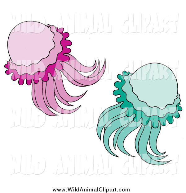 Green And Purple Jellyfish Swimming Wildlife Clip Art Alex Bannykh