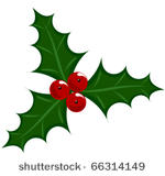 Holly Berry Illustration  Symbol Of Christmas Shutterstock  Eps Vector