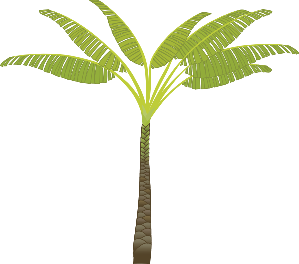 Palm Tree7