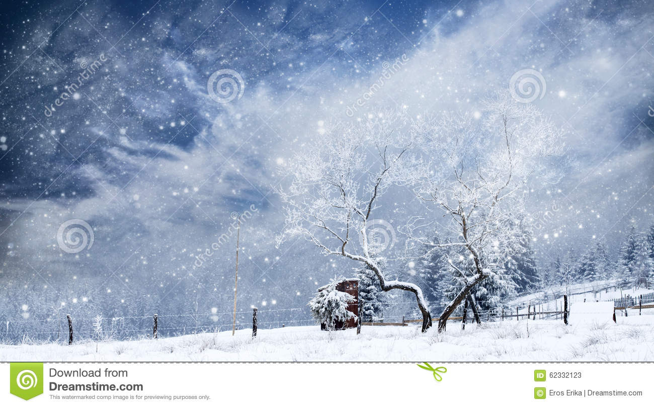 Stock Photo  Christmas Background With Snowy Fir Trees