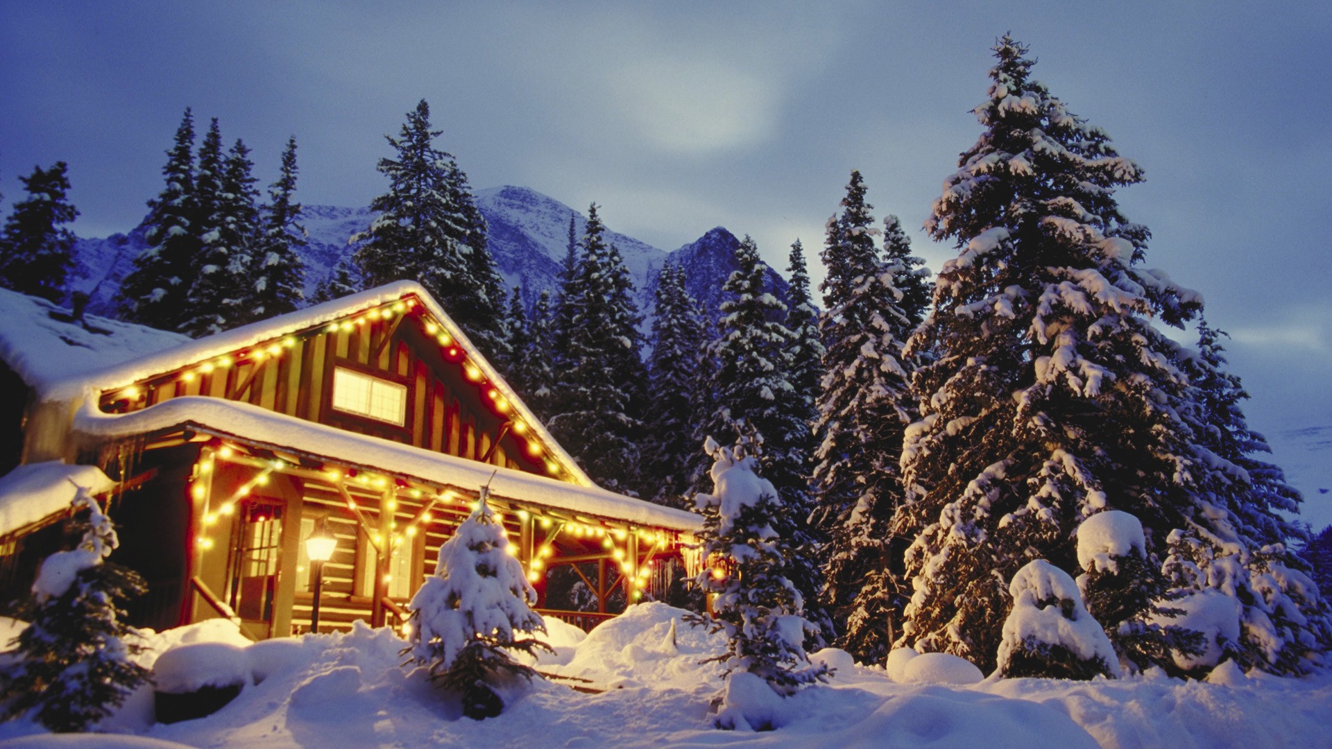 Woods Cabin Christmas Winter Scenes Led Flashing Christmas Lights    