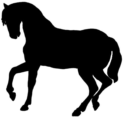 Byler Barns And Backyards Harrisonburg Waynesboro  The Horse Report