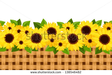 Horizontal Seamless Background With Sunflowers And Wicker  Vector