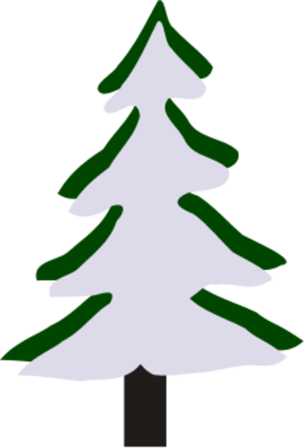 Pine Tree In Winter   Vector Clip Art