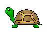 Turtle Clip Art   Small Medium And Large Turtles   Clip Art Of