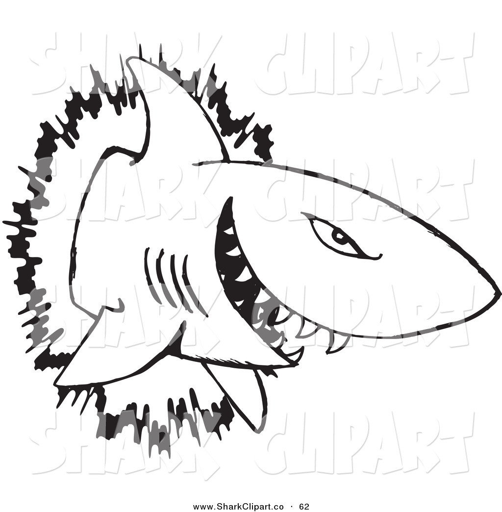 Clip Art Of A Black And White Outline Of A Shark Bursting Through A    