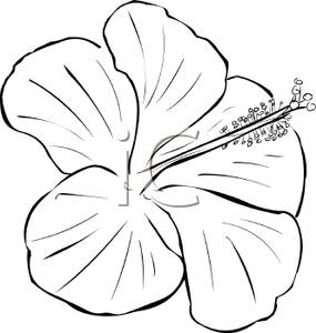 Clipart Image Of Black And White Hibiscus Flower