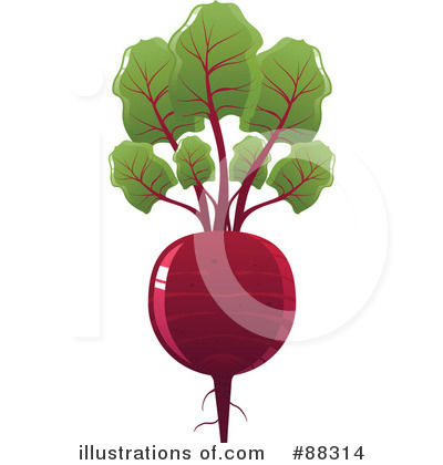 Beet Clipart  88314 By Tonis Pan   Royalty Free  Rf  Stock