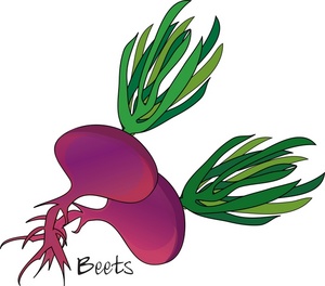Beets Clip Art Images Beets Stock Photos   Clipart Beets Pictures