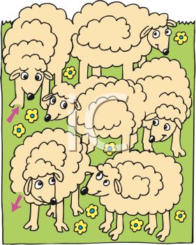 Herd Of Cartoon Sheep   Royalty Free Clip Art Illustration