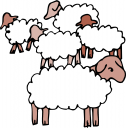 Herd Of Sheep Clip Art