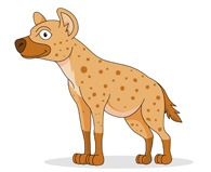 Hyena Clipart And Graphics