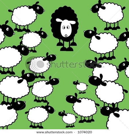 Picture Of A Herd Of Sheep Surrounding The Black Sheep In This Vector    