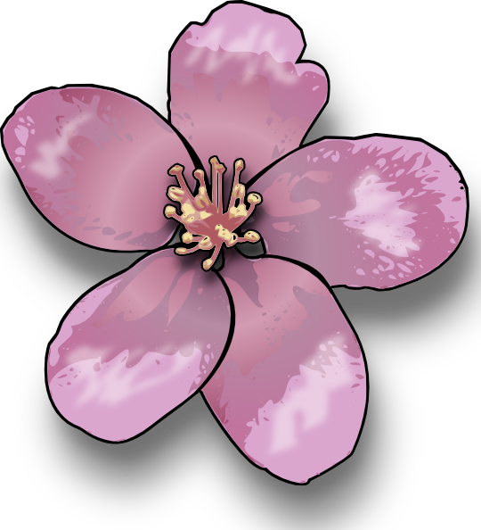 Apple Blossom Clip Art At Clker Com   Vector Clip Art Online Royalty