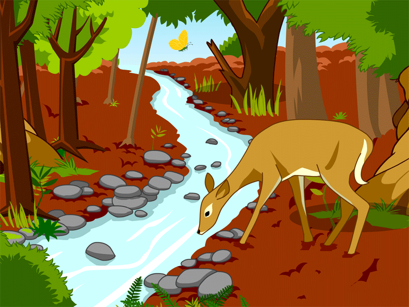 Back   Gallery For   Forest Habitat Clipart