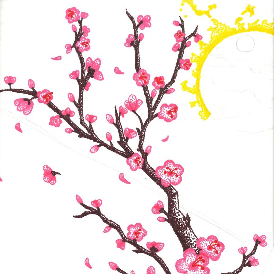 Cartoon Cherry Blossom   Clipart Best