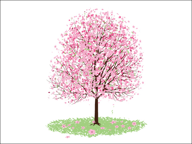 Cherry Blossom Tree Clip Art   Food And Drink Pictures