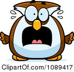 Infatuated Owl Chubby Evil Owl Chubby Drunk Owl Chubby Bored Owl    