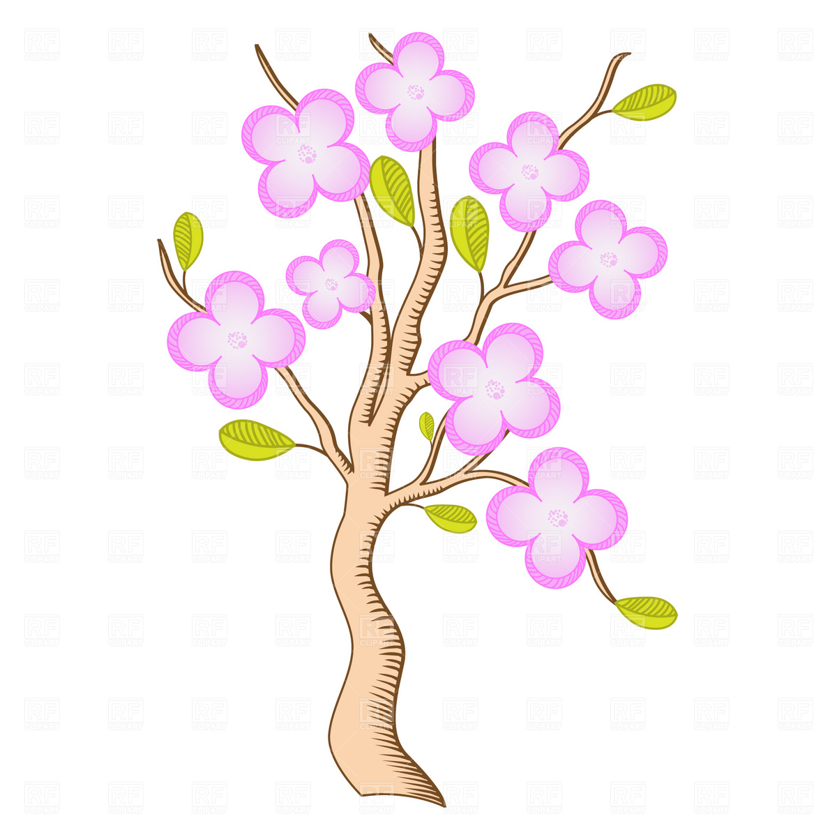Sakura Branch Blossom Download Royalty Free Vector Clipart  Eps
