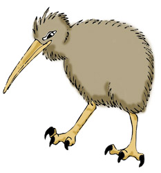 Back   Pix For   Kiwi Bird Clipart