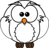 Cartoon Snowy Owl   Clipart Best