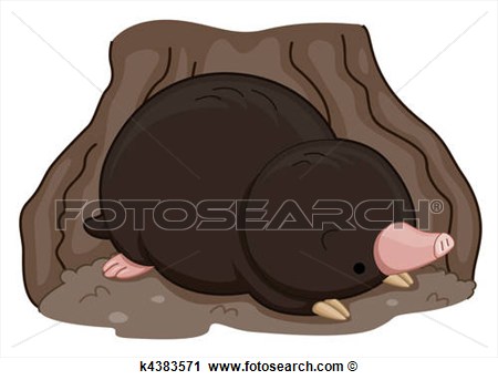 Cute Mole View Large Illustration
