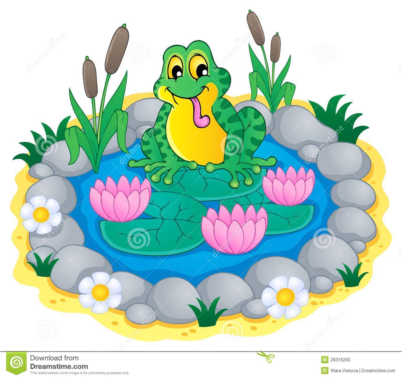 Displaying 18  Images For   Pond Ecosystem Clipart   
