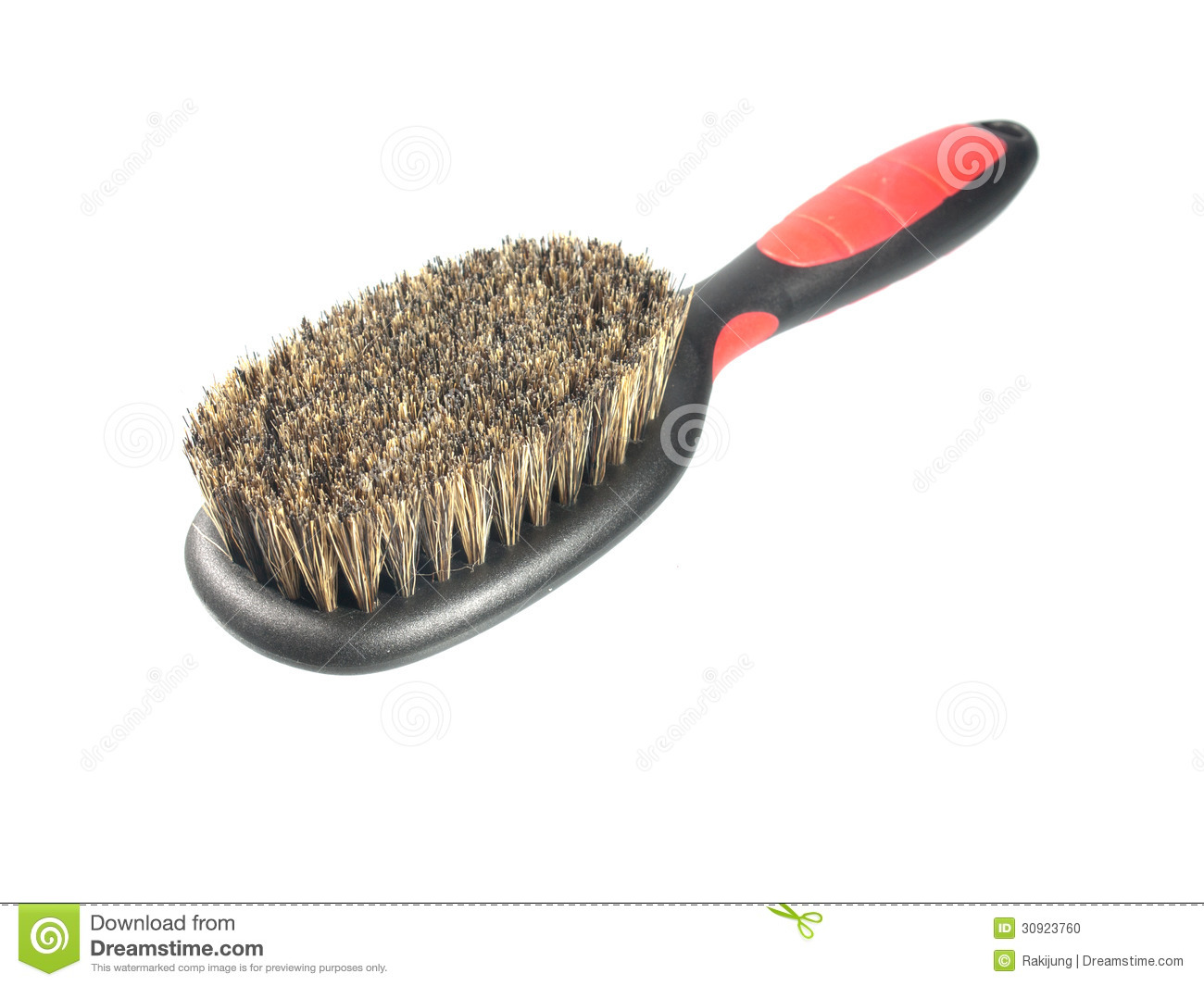 Dog Grooming Brush Stock Photo   Image  30923760
