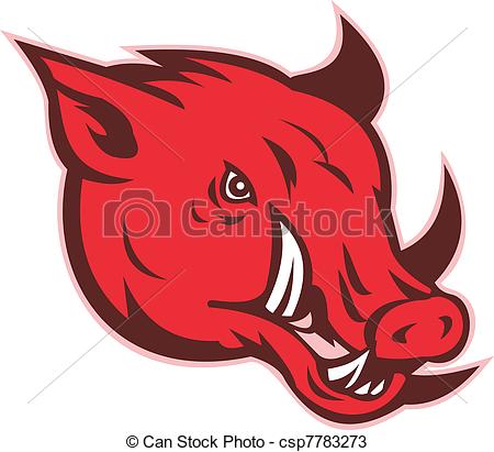 Drawings Of Angry Razorback Wild Pig Hog Boar Head   Illustration Of A