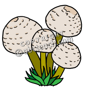 Ecosystem Clipart Mushrooms Rgb Pw Png