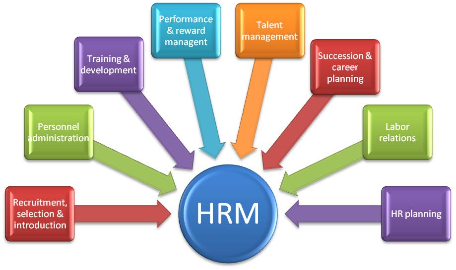 Human Resource Management Is A Management Function That Helps Managers    