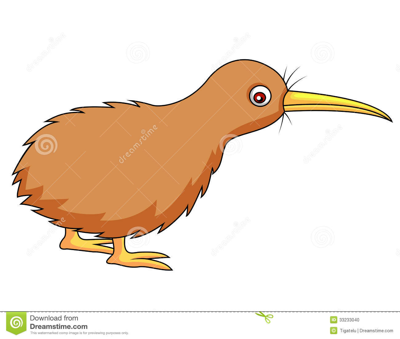 Kiwi Bird Clipart Kiwi Bird Cartoon