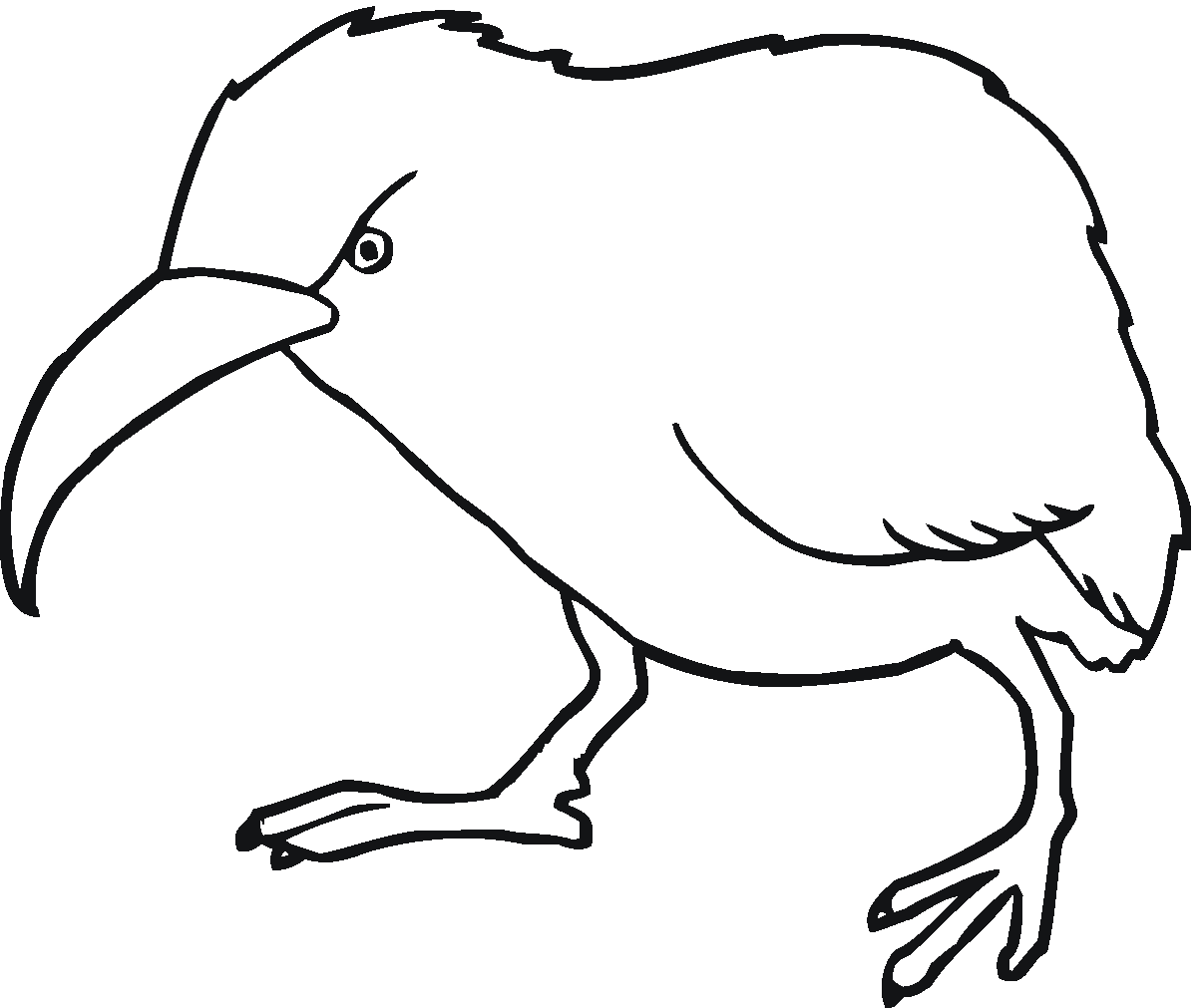 Kiwi Bird Coloring Page   Free Cliparts That You Can Download To You